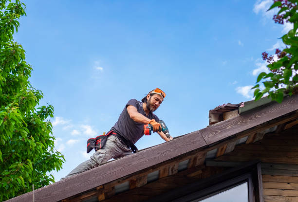 Best Asphalt Shingle Roofing  in , WI